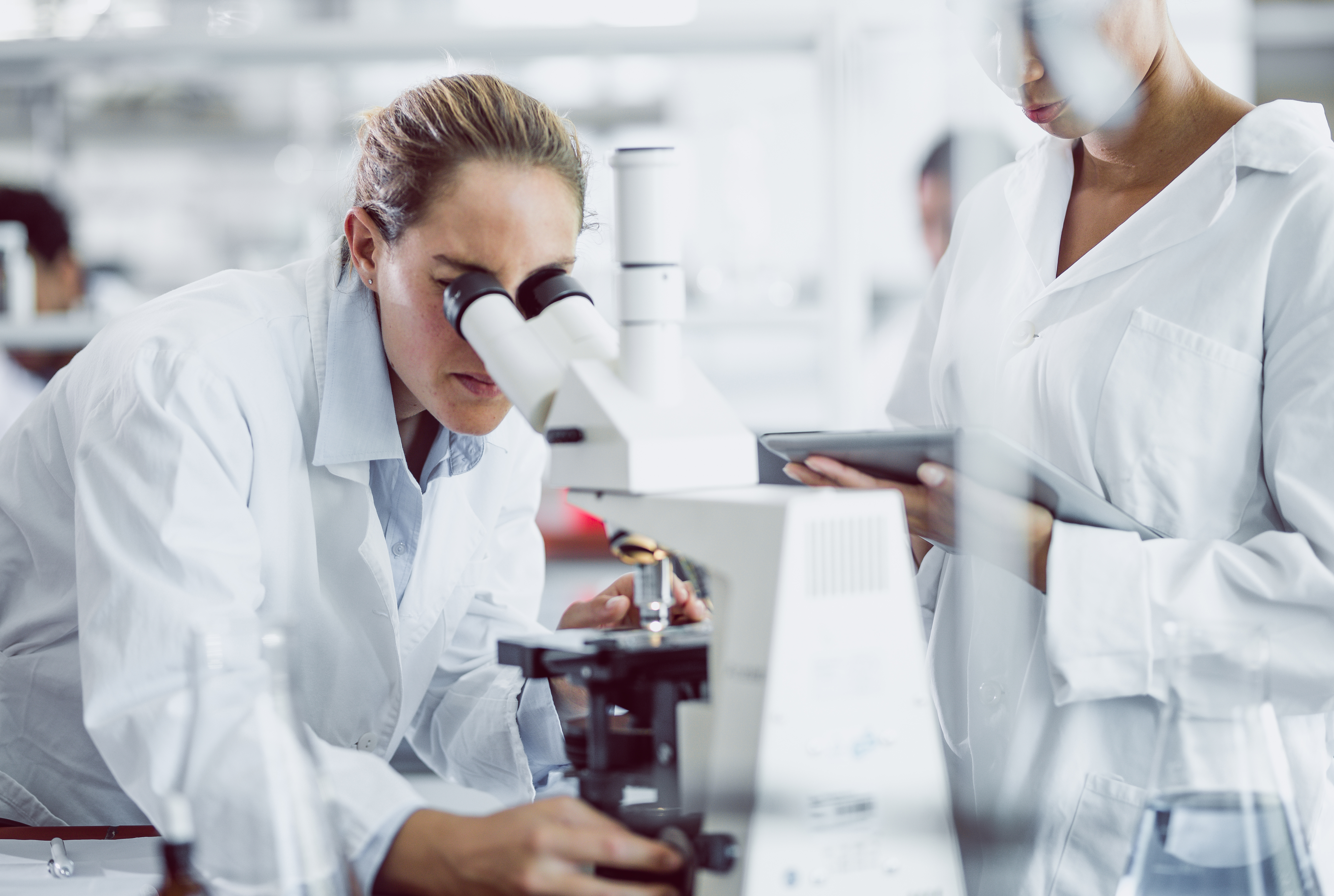 European Union overview